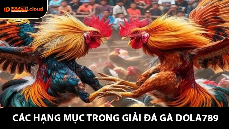 Các hạng mục trong giải đá gà Dola789