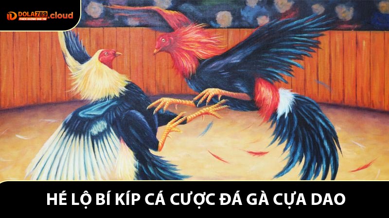 Dân chuyên hé lộ bí kíp cá cược đá gà cựa dao