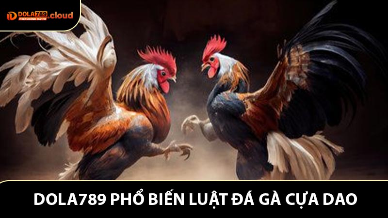 DOLA789 phổ biến luật đá gà cựa dao