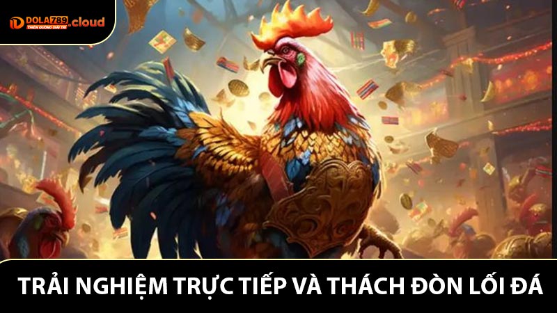 Trải nghiệm trực tiếp và thách đòn lối đá