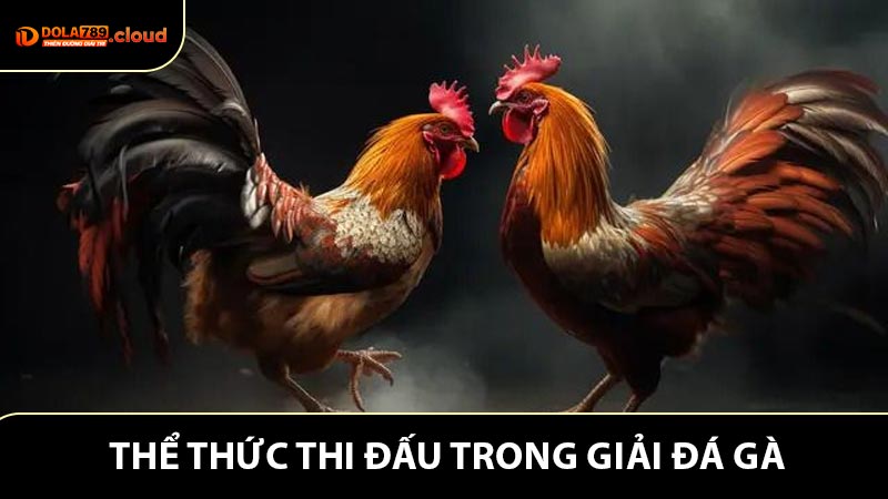 Thể thức thi đấu trong giải đá gà