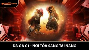 Đá Gà C1 - Nơi Tỏa Sáng Tài Năng Của Các Kê Thủ 2026