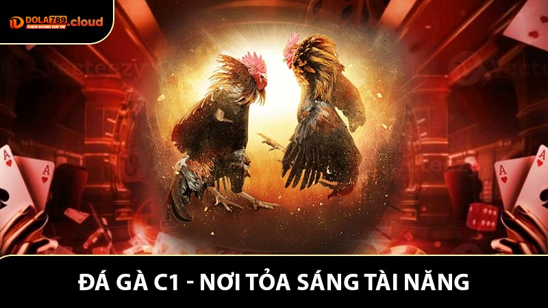 Đá Gà C1 - Nơi Tỏa Sáng Tài Năng Của Các Kê Thủ 2026