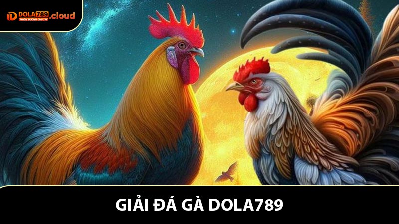 Giải Đá Gà - Sân Chơi Hàng Đầu Cho Những Tín Đồ Đam Mê Kê Thủ