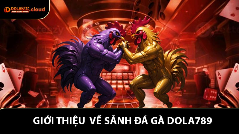 Giới thiệu khái quát về sảnh đá gà Dola789