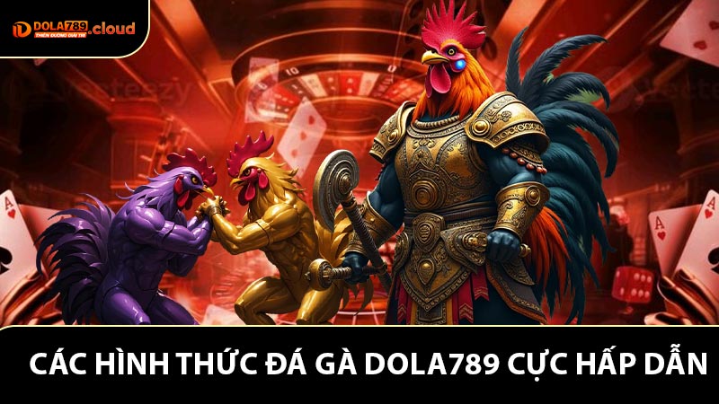 Khám phá hàng loạt hình thức đá gà Dola789 cực hấp dẫn