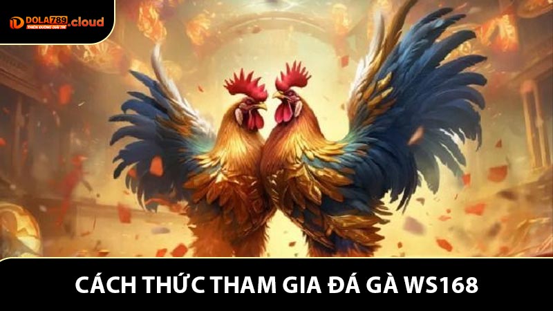 Cách thức tham gia Đá gà WS168 hữu ích đối với người chơi