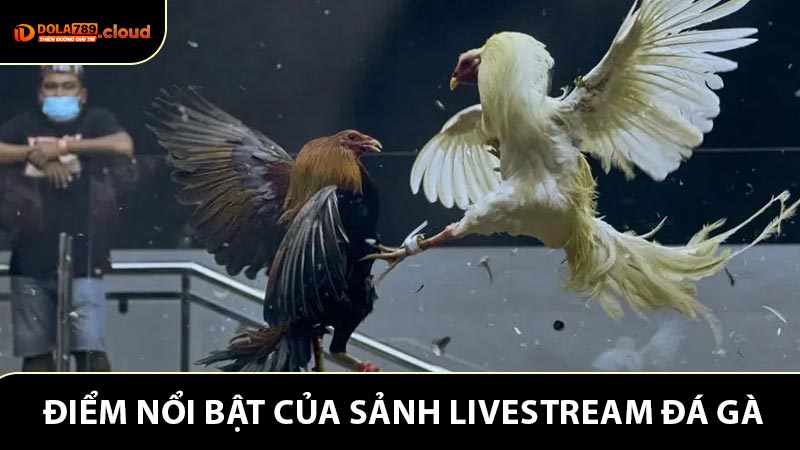 Nhận xét những điểm nổi bật của sảnh livestream đá gà