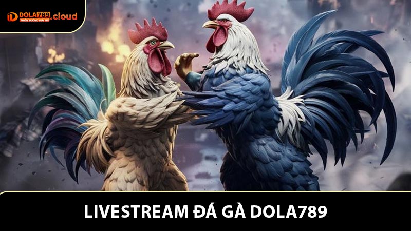 Livestream Đá Gà - Trải Nghiệm Cá Cược Trực Tuyến Kịch Tính