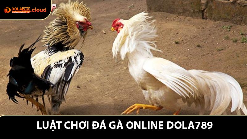 Luật Chơi Đá Gà Online - Nắm Vững Quy Tắc Để Đặt Cược Thông Minh