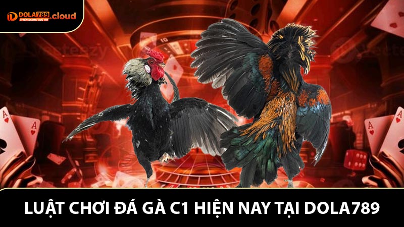 Luật chơi đá gà C1 hiện nay tại nhà cái Dola789