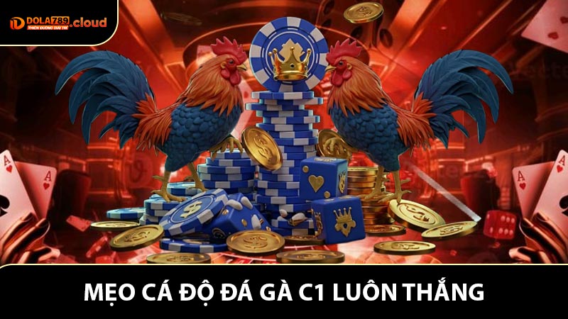 Mẹo cá độ đá gà C1 luôn thắng