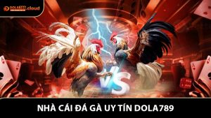 Khám Phá Nhà Cái Đá Gà Uy Tín - Sàn Cược Uy Tín Dola789