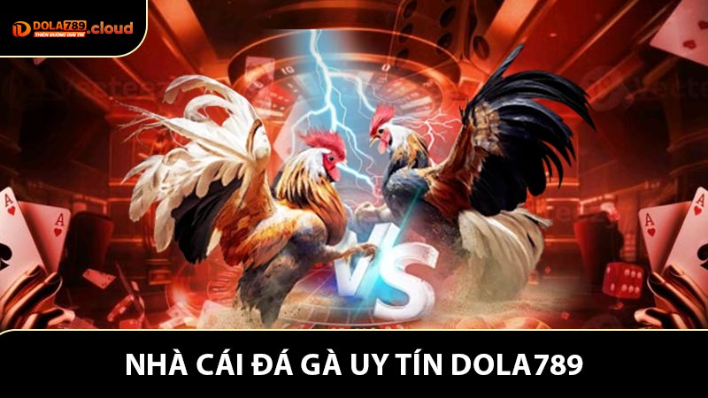 Khám Phá Nhà Cái Đá Gà Uy Tín - Sàn Cược Uy Tín Dola789