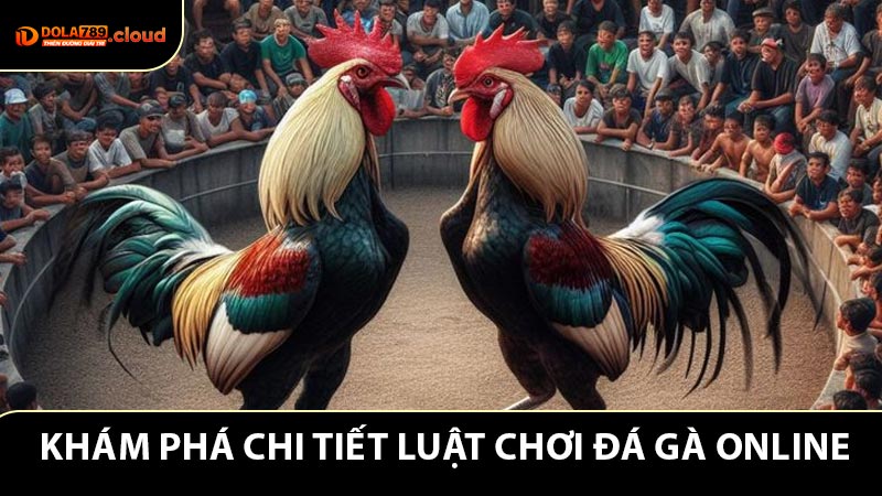 Khám phá chi tiết luật chơi đá gà online