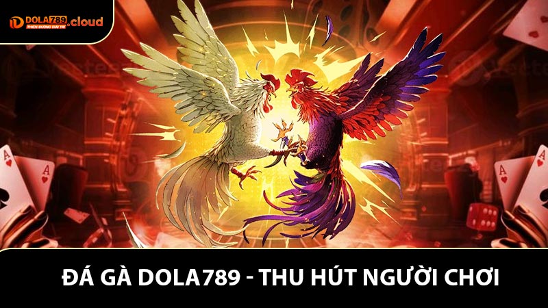 Vì sao đá gà Dola789 là lựa chọn lý tưởng cho nhu cầu giải trí và đặt cược