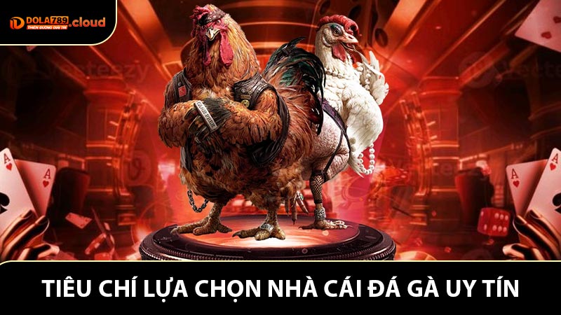 Tiêu chí lựa chọn Nhà cái đá gà uy tín cho hội viên
